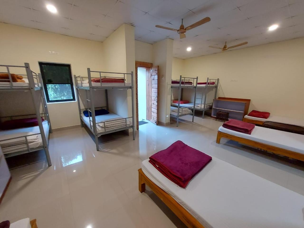 Tadoba Tiger Valley Resort Tadoba Mohurli Extérieur photo